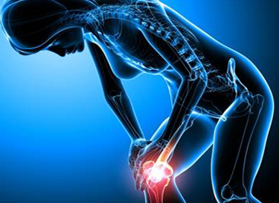 The Aging Process and the Deterioration of Joints and C