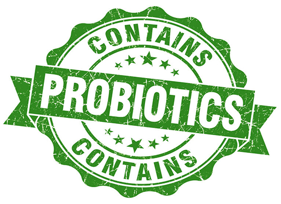 Probiotics - Why You Should be Supplementing Them