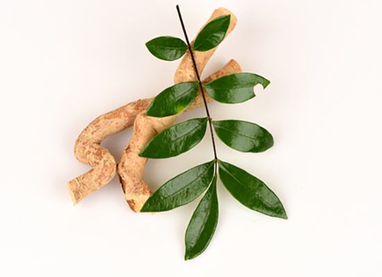 Tongkat Ali Testosterone Support